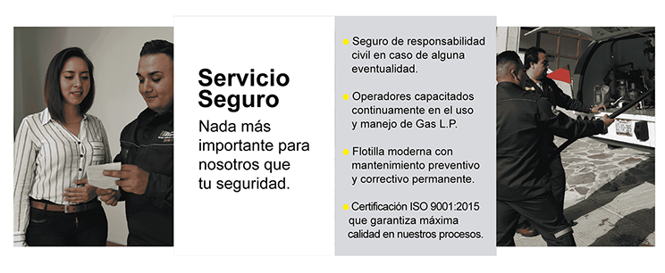 Nosotros, Servicio Seguro