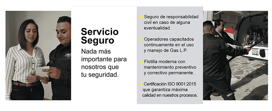 Nosotros, Servicio Seguro